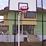 Basket Potası 7