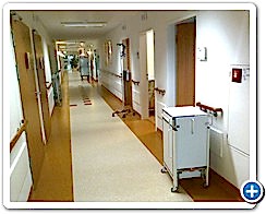 Hastane Dekorasyon / Tadilat